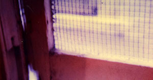 �z�e������̌i�F